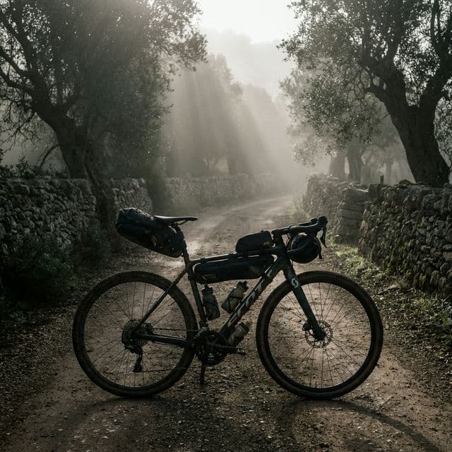 Ruta